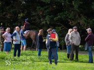 NH081023-28 - Nicky Henderson Stable Visit